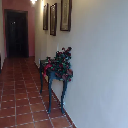 Magda Apartmán Todi